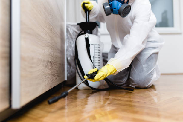 Best Commercial Pest Control Services  in Hamburg, NJ