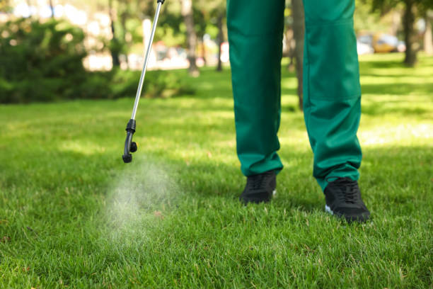 Best Pest Prevention Services  in Hamburg, NJ