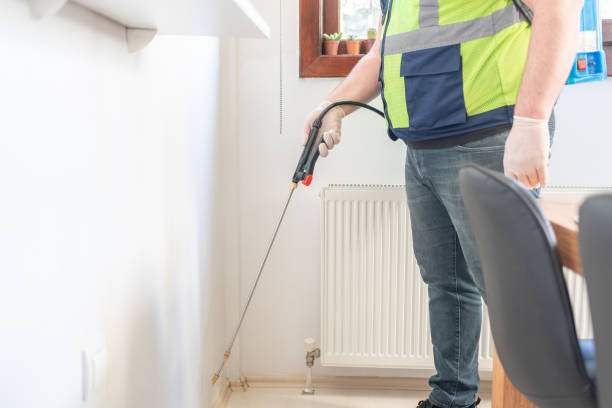 Best Wasp Removal Services  in Hamburg, NJ