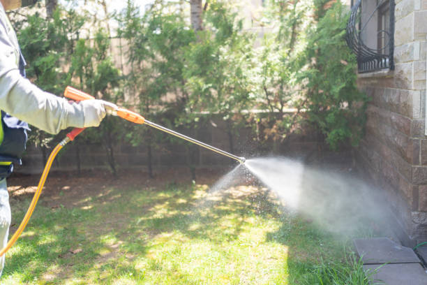 Best Insect Control  in Hamburg, NJ