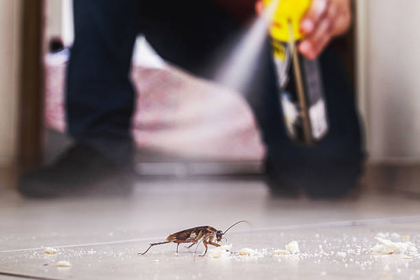 Best Emergency Pest Control  in Hamburg, NJ
