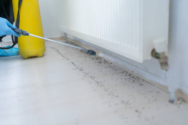 Best Residential Pest Control  in Hamburg, NJ