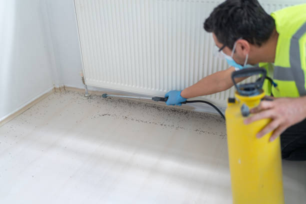 Best Residential Pest Control  in Hamburg, NJ
