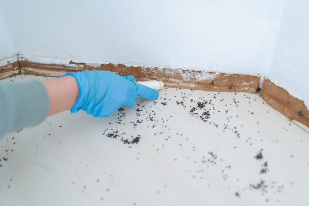 Best Best Pest Control Companies  in Hamburg, NJ