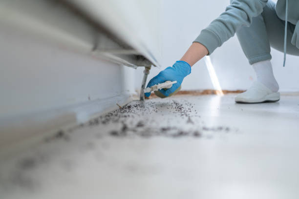 Best Affordable Pest Control Services  in Hamburg, NJ